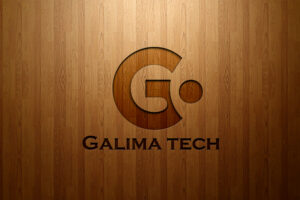 L'équipe GalimaTech réunie autour d'un projet digital